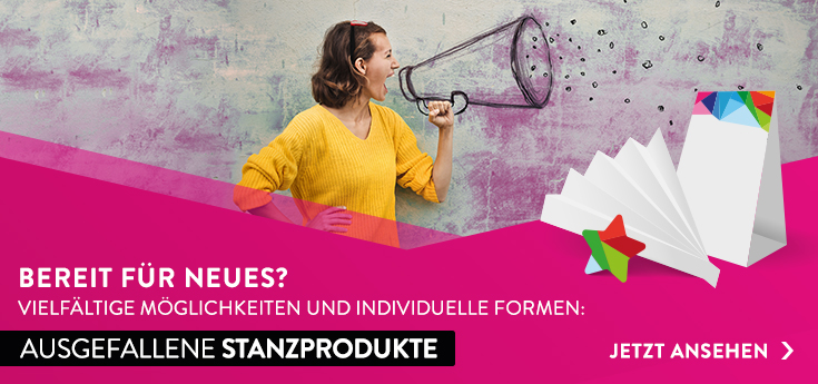 Stanzflyer
